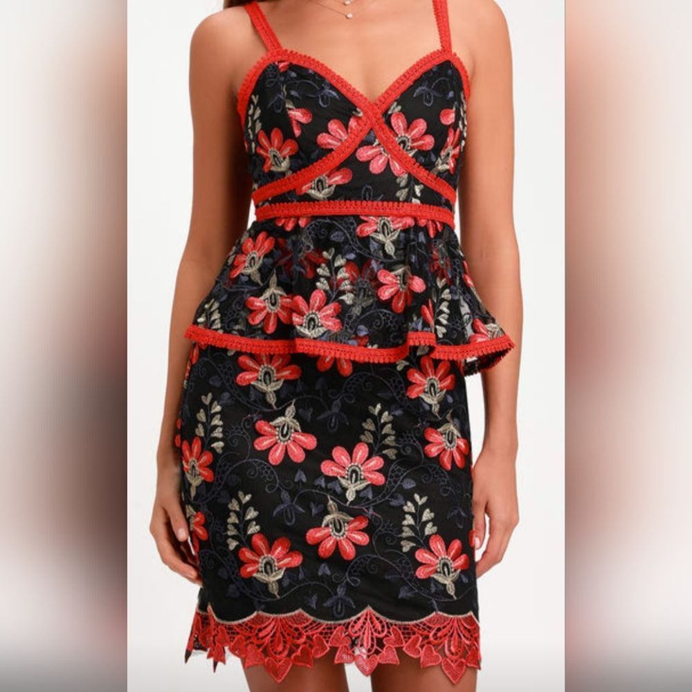 Lulus Karina Black&Red Floral Embroidered Peplum Dress Size M Coquette Feminine